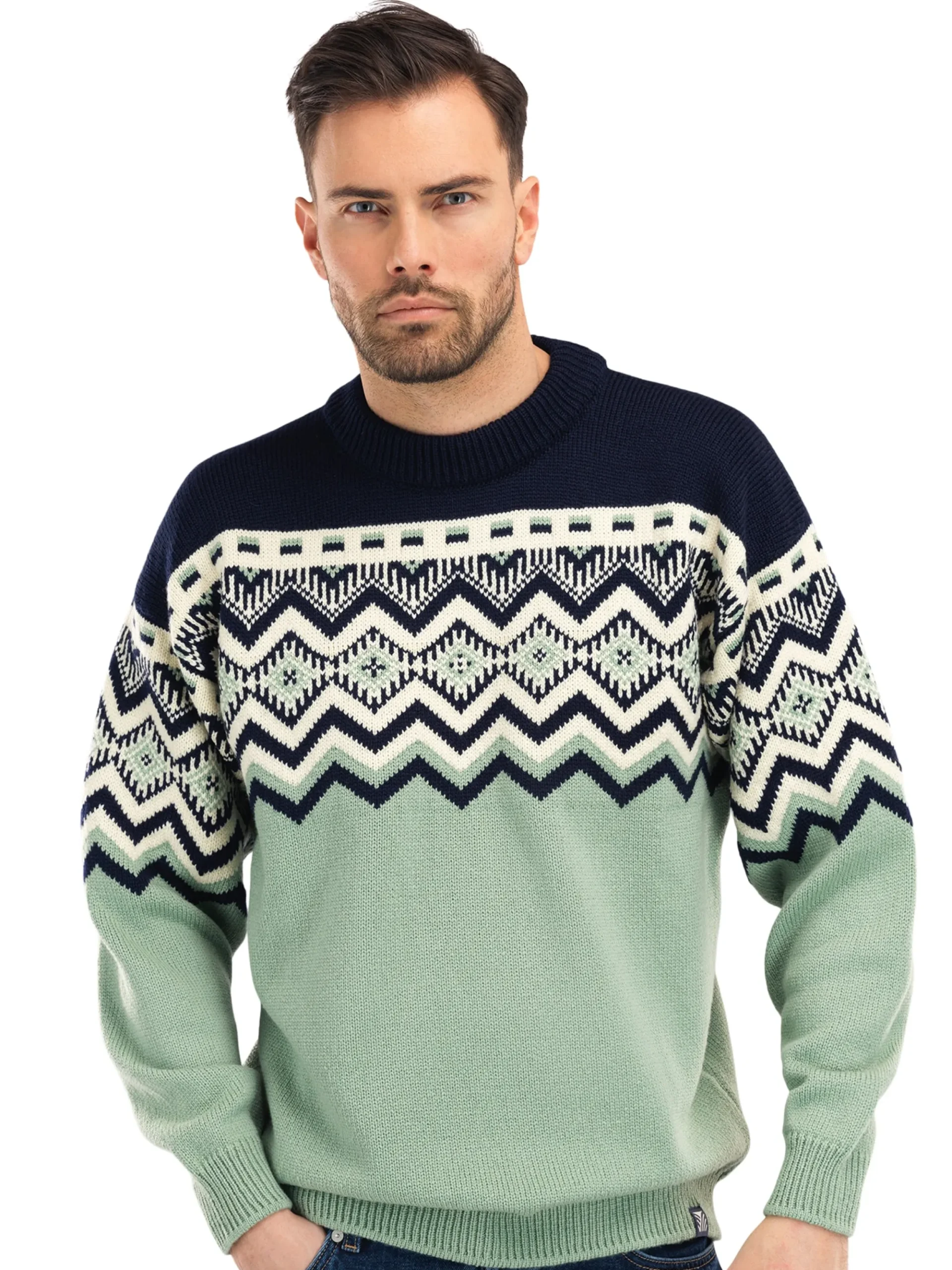 Men Dale of Norway Randaberg Men's Sweater
