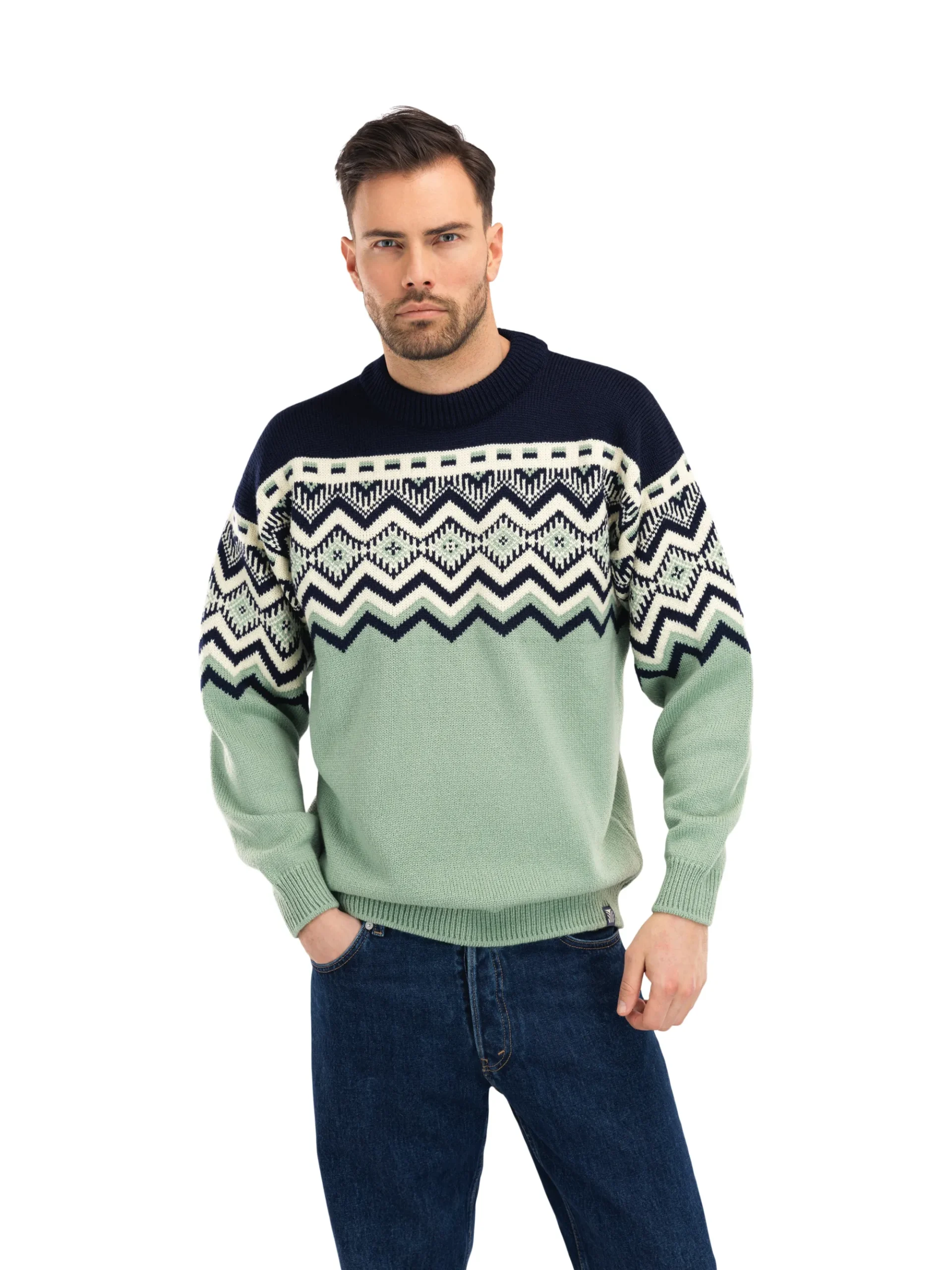 Men Dale of Norway Randaberg Men's Sweater